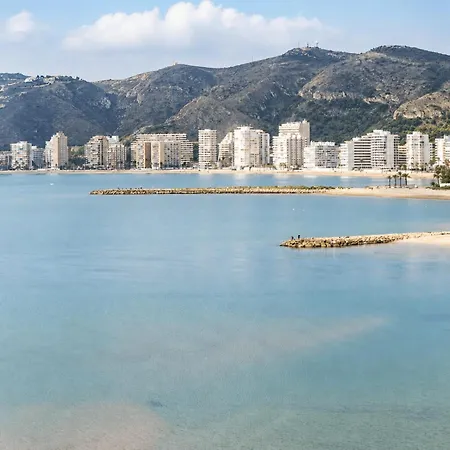 Olivos Ii - Cullera