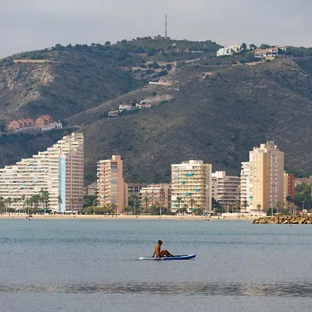 Olivos Ii - Cullera