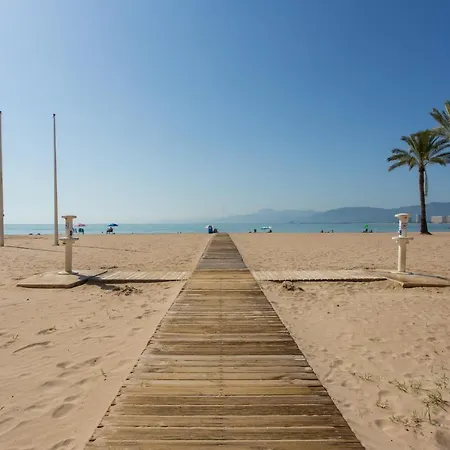 Olivos Ii - Cullera