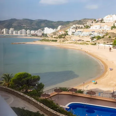 Olivos Ii - Cullera