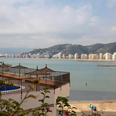 Olivos Ii - * Cullera