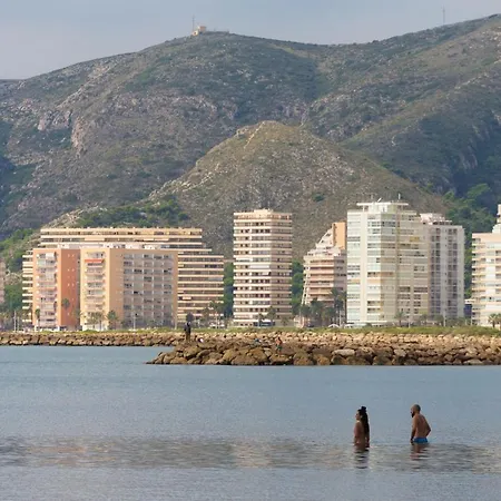 Olivos Ii -