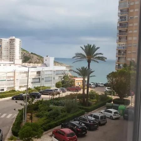 Olivos Ii - Cullera