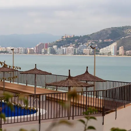 Apartmán Olivos Ii -