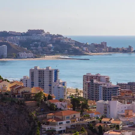 Olivos Ii - Cullera