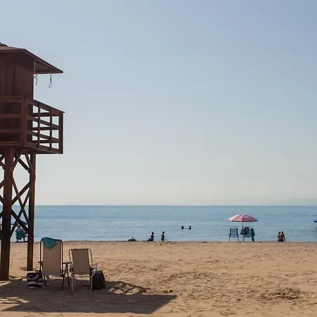 Olivos Ii - * Cullera